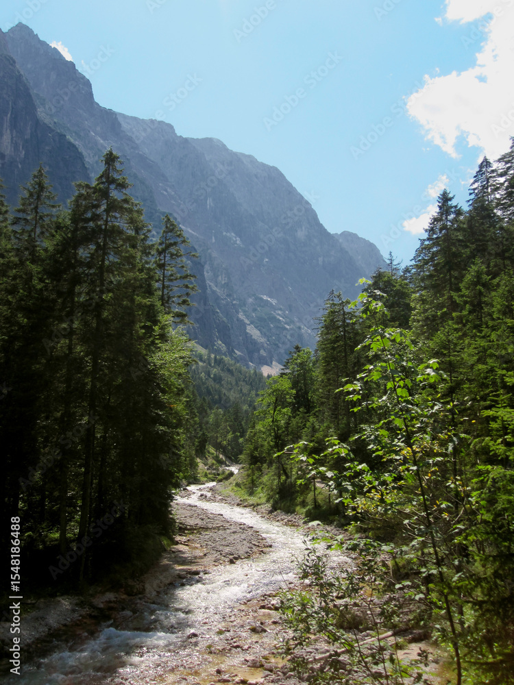 Fototapeta premium View into the Reintal valley in the Wetterstein Mountains, showing the origin of the Partnach river and the pristine Reintal & Schachen nature reserve in the Garmisch-Partenkirchen district, Zugspitz 