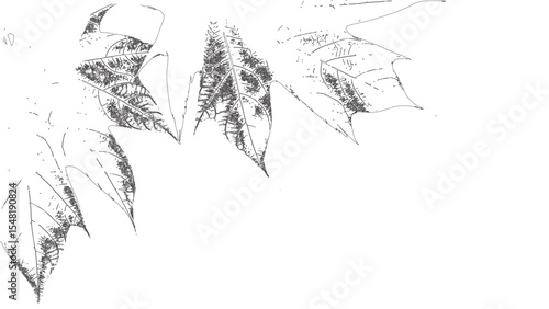 Detailed Closeup Hand Drawn Leaves Line Art