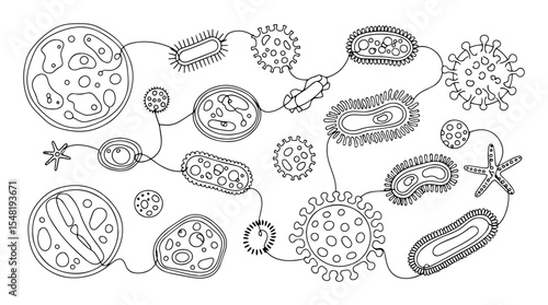 microorganisms and bacteria scientific line art