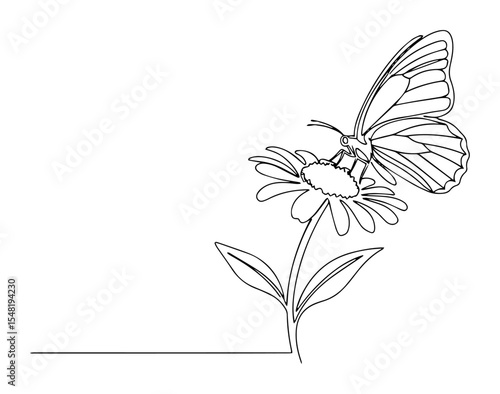 butterfly on flower line drawing illustration