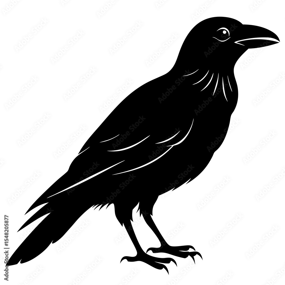 Obraz premium Silhouette of a crow isolated on white background