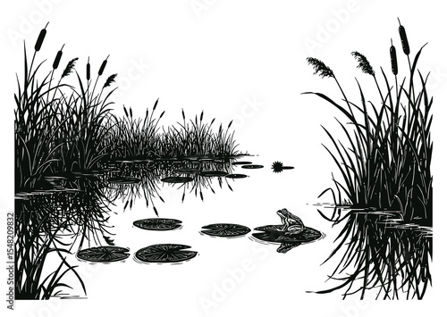 Serene Black and White Illustration of a Frog in a Marsh