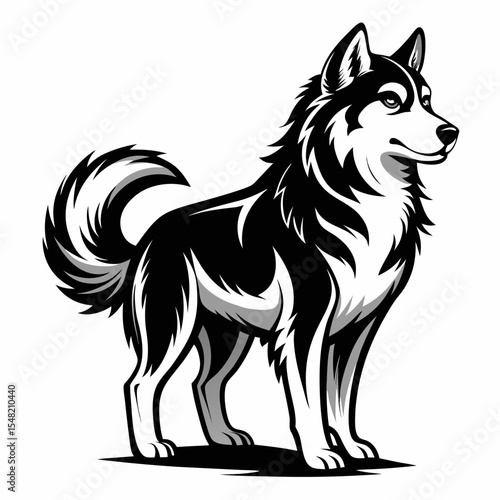 Stylish black and white husky dog illustration