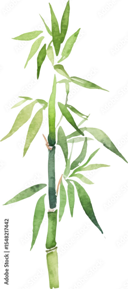 Naklejka premium Vector watercolor painted bamboo. Hand drawn flower design elements isolated on white background.