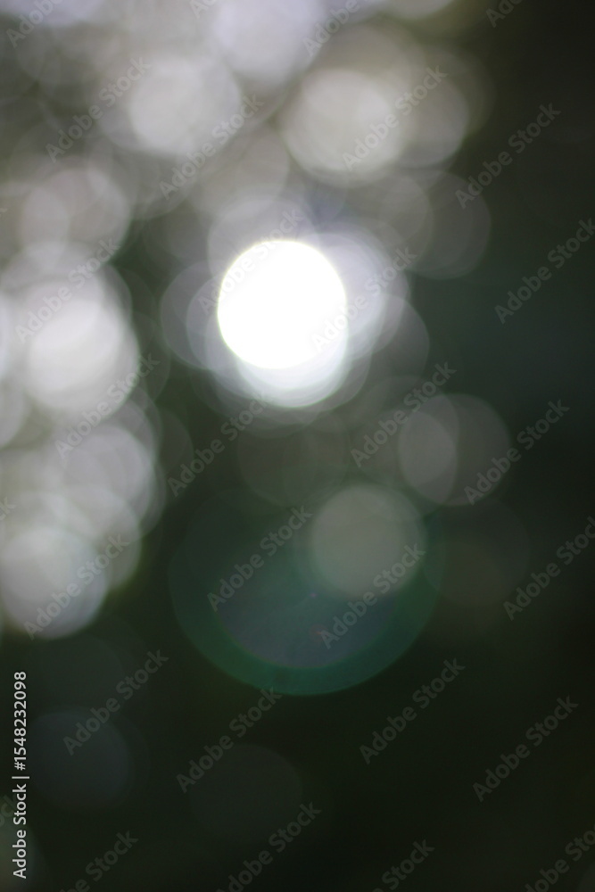 Obraz premium A dreamy view of the sun shining thru the trees.