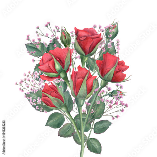 Red roses, pink gypsophila and fresh greenery watercolor bouquet isolated background. Hand painted realistic botanical roses illustration for wedding stationery, invitation, romantic branding