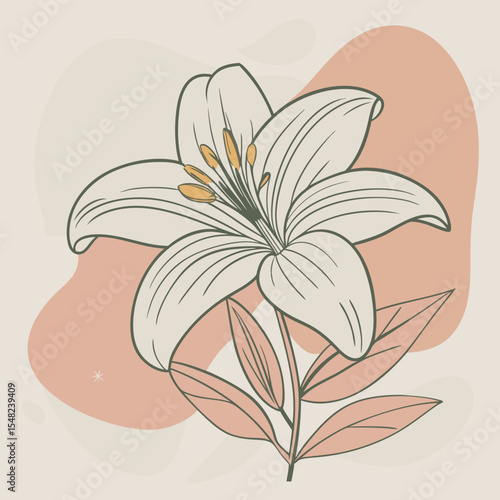 A single white lily flower is delicately illustrated with leaves, set against an abstract pink and beige background