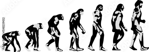 Vector evolucion