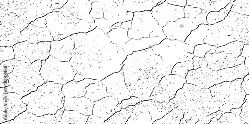"Dry cracked earth texture in high-contrast black and white. Perfect for backgrounds, drought or climate change concepts, aging surfaces, and natural abstract design projects"
