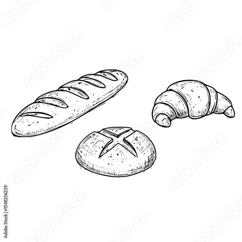 Set of loaf of bread. French baguette slices and crumbs. Rye rounde rustic bread or whole grain baked bread. Free copy space. Vector sketch realistic line vintage illustration
