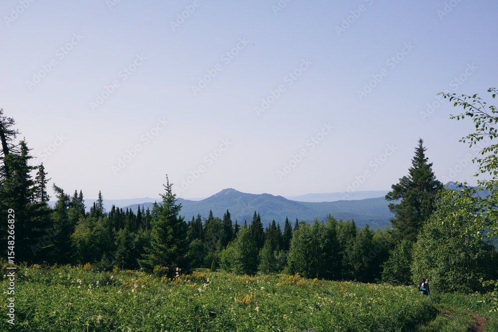 Fototapeta premium a mountain landscape with a forest and a flower field in the foreground