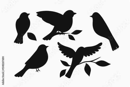Silhouette Bird Collection  Six Elegant Black Bird Illustrations for Design