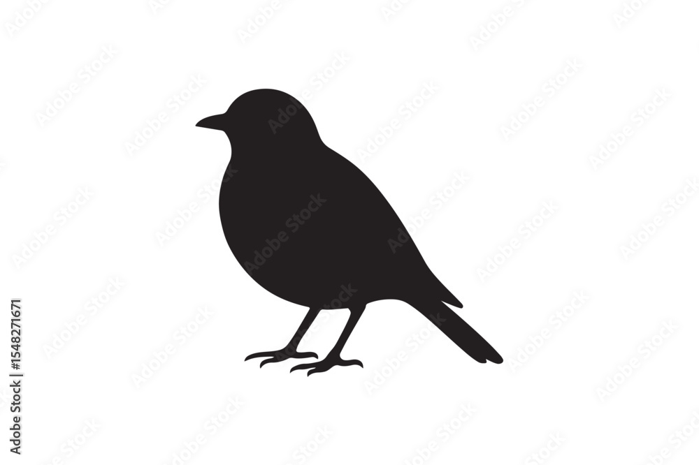 Obraz premium Robin bird silhouette on white background.
