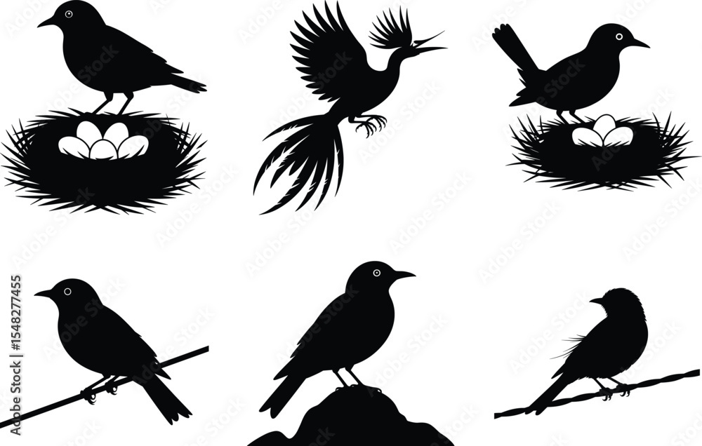 Fototapeta premium Bird Silhouette illustration, Flying Birds Svg Vector Art and White Background. Bird icon graphics.