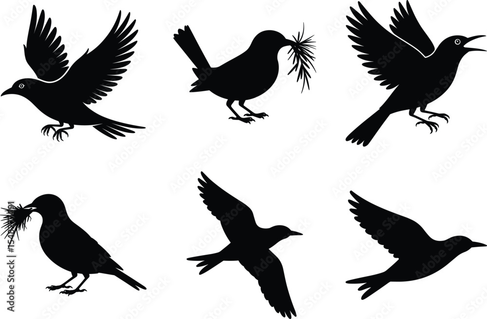 Obraz premium Bird Silhouette illustration, Flying Birds Svg Vector Art and White Background. Bird icon graphics.