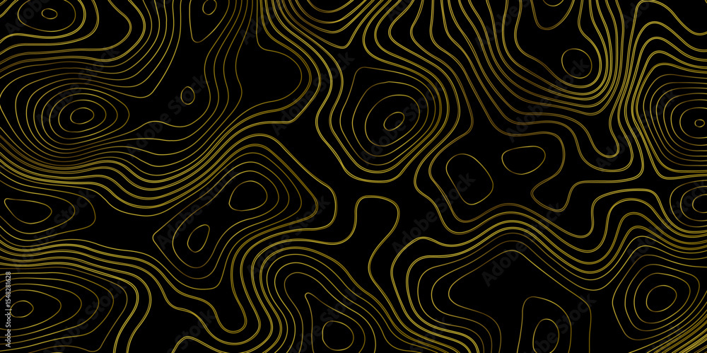 Fototapeta premium Gradient color topology and topography vector design abstract background contour map texture for print works . black curve line background with wave shape vector illustration. 