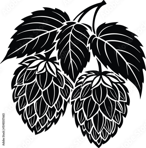Fresh hop cones for brewing and botanical decoration design silhouette vector