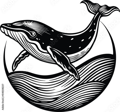 Ocean humpback whale jumping above sea with dynamic wave motion silhouette vector