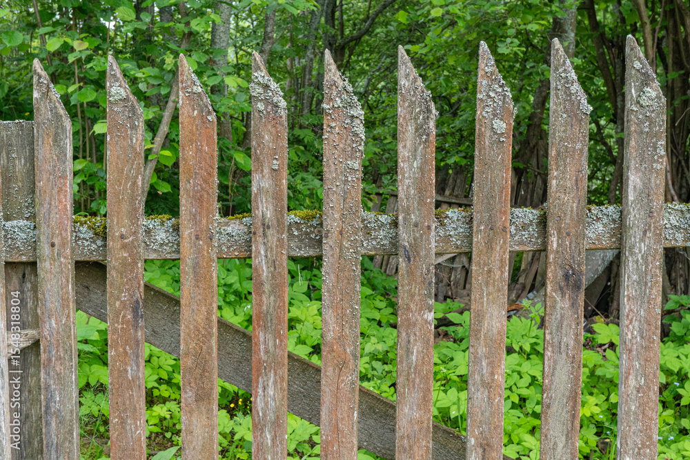 Weathered wooden fence with green moss in forested area Weathered wooden fence with green moss in forested area