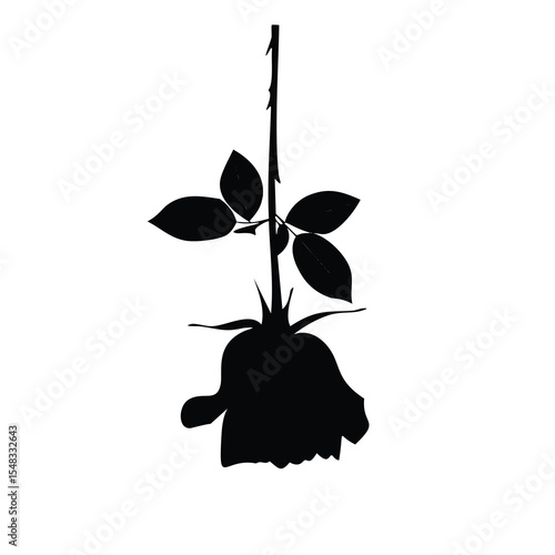 Silhouette of a single rose plant with leaves