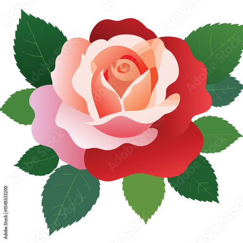 Single red and pink rose with green leaves
