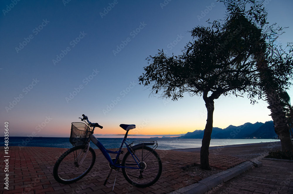 Fototapeta premium Bicycle parked near the ocean under the evening sky with colorful sunset hues, framed by tree silhouettes and distant mountains, creating a tranquil and scenic atmosphere.