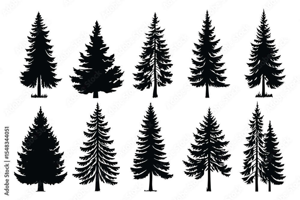 Obraz premium Evergreen forest tree vector collection – isolated pine and fir tree shapes
