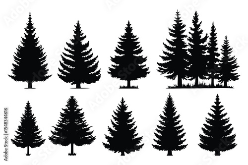 Black pine tree illustrations – natural forest and Christmas tree vector set
