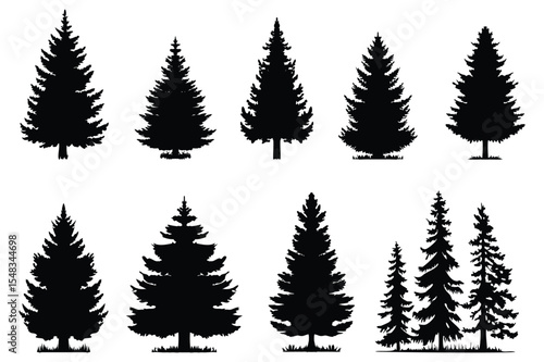 Black pine tree illustrations – natural forest and Christmas tree vector set