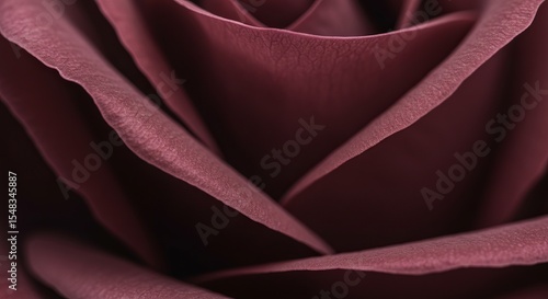 Close-up of a rose's center, showcasing its velvety, maroon petals arranged in swirling, overlapping layers with subtle textural details.