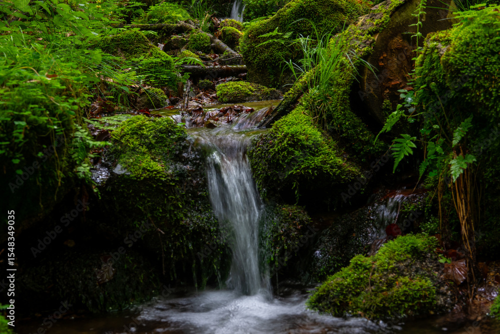 Tranquil stream cascades over mossy rocks in a green forest Tranquil stream cascades over mossy rocks in a green forest