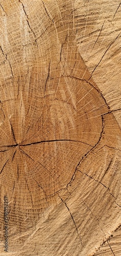 wood texture background