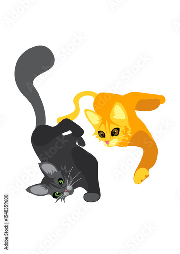 cats laying