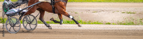 Cuadro en lienzo Equestrian sport
