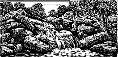 Serene mossy ravine with cascading waterfall in black and white art