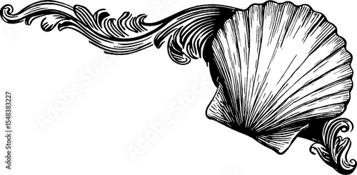 Elegant baroque shell corner cartouche design for decorative prints