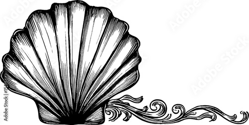 Elegant baroque shell cartouche design in black and white for decorative borders