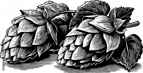 Classic hop cone cluster emblem in black and white for brewing design