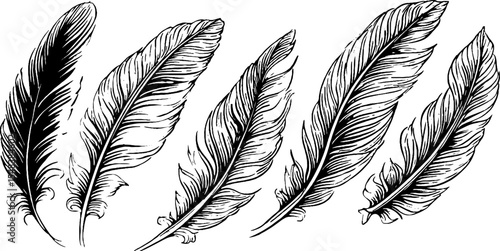 Elegant owl feather corner flourish in black and white for artistic design