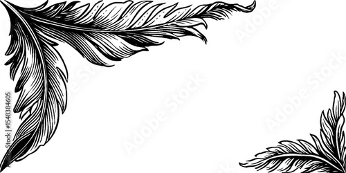 Elegant owl feather corner flourish design in black and white for creative decoration