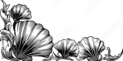 Elegant scallop shell flourish design in black and white for corner decoration