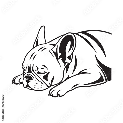 French bulldog vector illustration