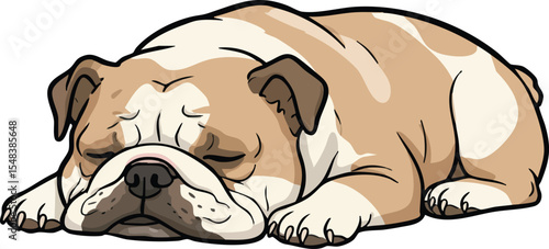 Bulldog sleeping peacefully lying down calm resting dog breed illustration in natural pose vector art 