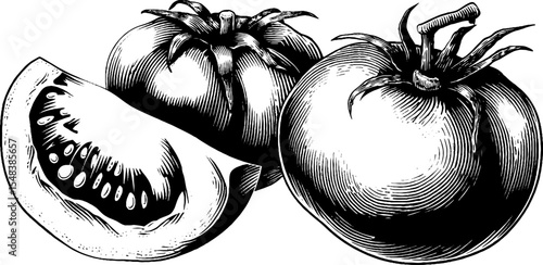Tomato slice and seed chamber with juicy details for retro design