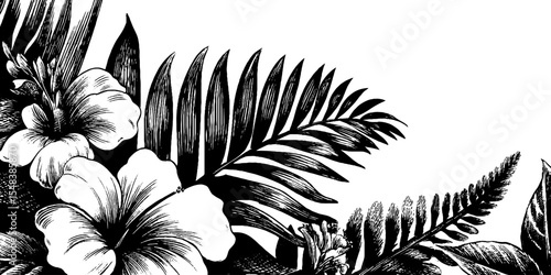Tropical palm frond and fern border with hibiscus flowers for design