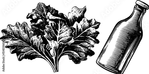 Vintage culinary art featuring vinegar bottle with oil swirl and salad leaf design