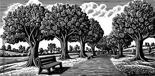Serene tree-lined promenade with benches in black and white for relaxation and reflection