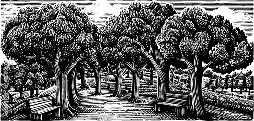 Serene tree-lined promenade with benches in black and white for artistic design