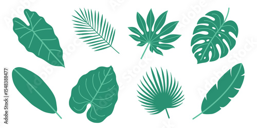 Vector illustration of various tropical green leaves in flat design. For botanical, summer, vacation, holiday, nature, and eco-themed projects. White isolated background.