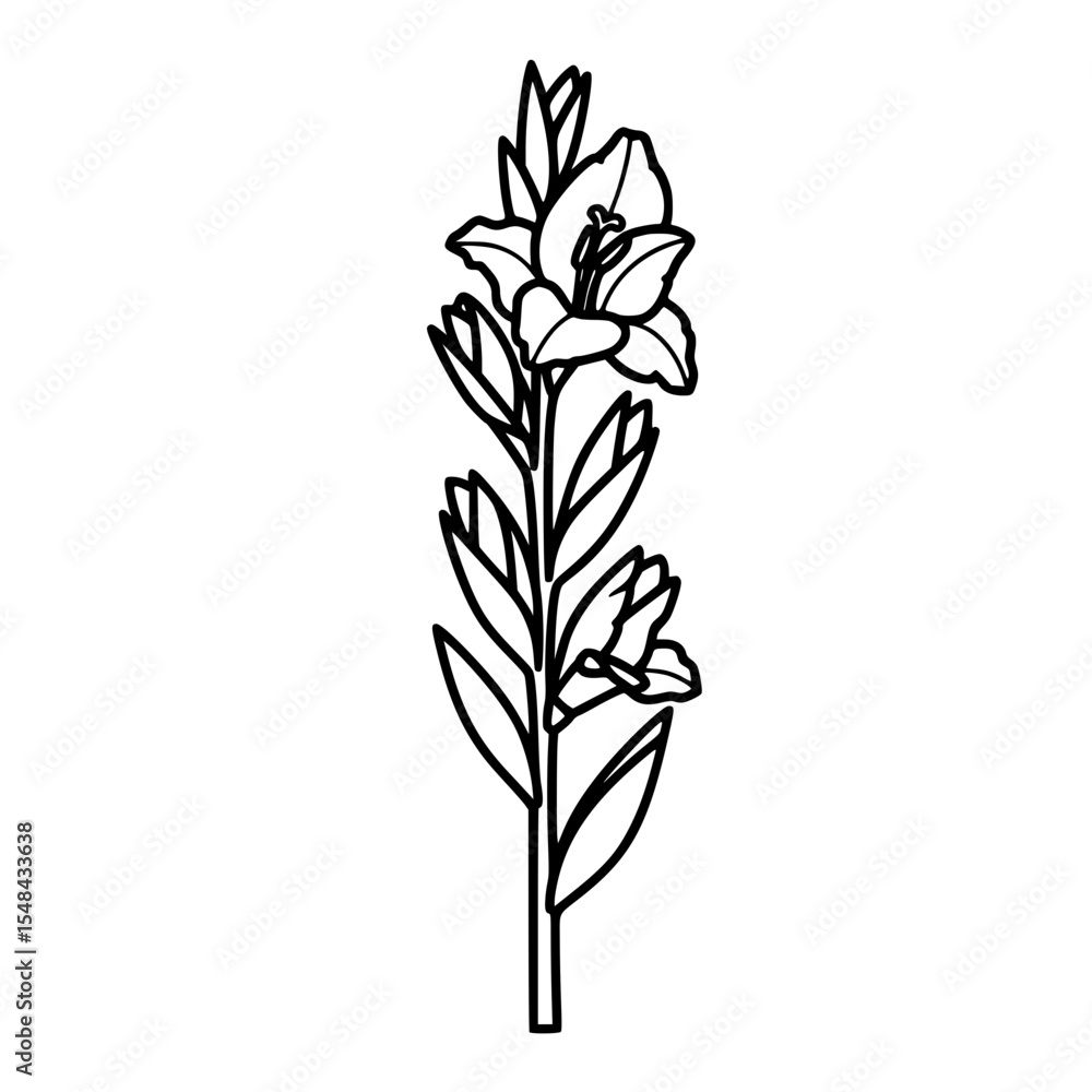 Gladiolus flower line icon in minimalist black and white design  